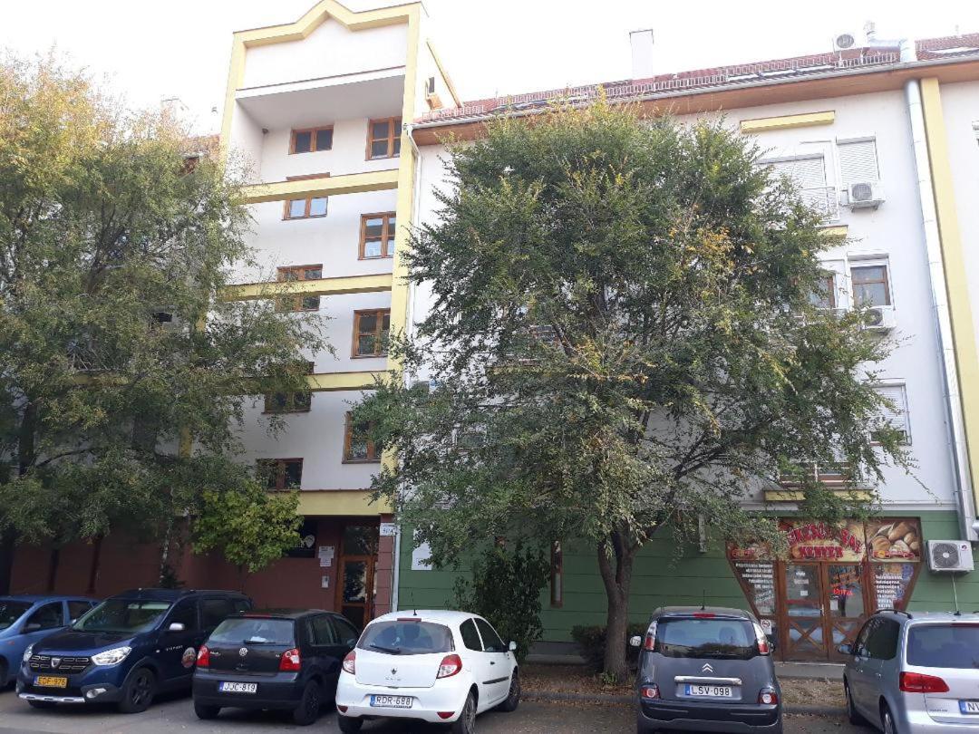 Pipacs Daire Bekescsaba Dış mekan fotoğraf